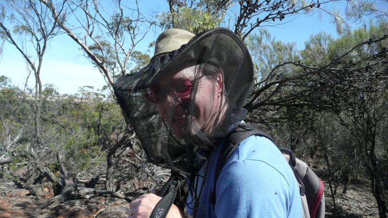 Spotted no wedge tailed eagles, no echidnas and almost nothing else of the Spotted no wedge tailed eagles, no echidnas and almost nothing else of the